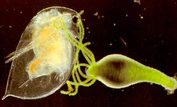 Кракен сайт kr2web in цены