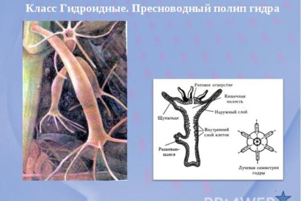 Ссылка на кракен официальный